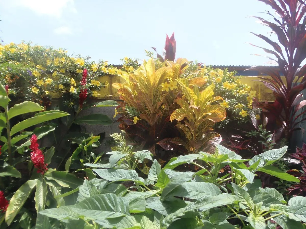 *** Bed & Breakfast Villa Mancina Capesterre-Belle-Eau Guadeloupe